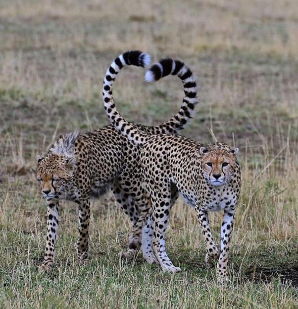 Weltevreden Game Lodge Блоемфонтейн Екстериор снимка